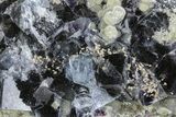 Purple Cubic Fluorite Crystals on Muscovite - Yaogangxian Mine #364626-1